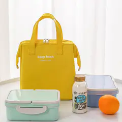 Portable Insulated Lunch Bag