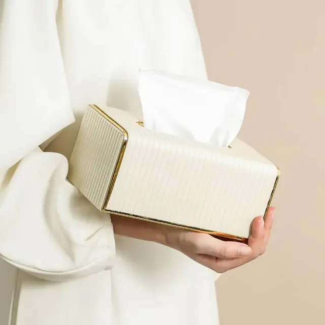  Luxury European Style Tissue Box